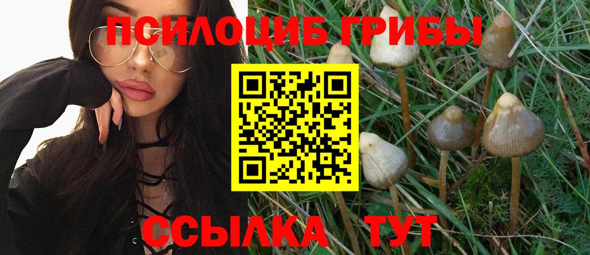 ГАШИШ  Марихуана  Меф кристаллы  Кокаин  Уссурийск  Вход с VPN 