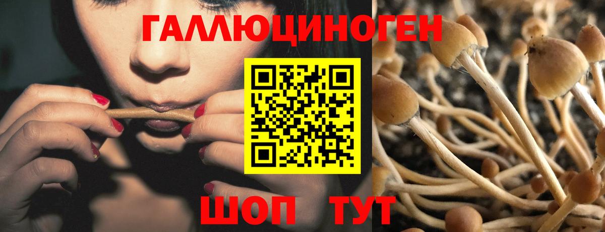 Галлюциногенные грибы прущие грибы  Псилоцибиновые грибы ЛСД  Уссурийск  купить   Вход с VPN 